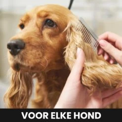Hondentondeuse - Honden & Katten - Trimmer - Geluidsloos -Hondenproducten 1200x1200 357