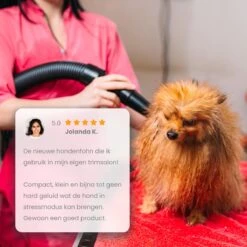 Qumax Professionele Hondenföhn Met 4 Opzetstukken – Waterblazer Voor Honden – Stil Design – Compact En Modern - Zwart -Hondenproducten 1200x1200 367