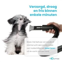 Qumax Professionele Hondenföhn Met 4 Opzetstukken – Waterblazer Voor Honden – Stil Design – Compact En Modern - Zwart -Hondenproducten 1200x1200 368