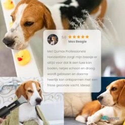 Qumax Professionele Hondenföhn Met 4 Opzetstukken – Waterblazer Voor Honden – Stil Design – Compact En Modern - Zwart -Hondenproducten 1200x1200 369