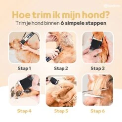 Woodoro Professionele 2-in-1 Hondentondeuse Voor Dikke Vacht – Draadloze Honden Tondeuse & Hondentrimmer – Stille Tondeuse Katten & Honden Trimset 18 Woodoro Professionele 2-in-1 Hondentondeuse Voor Dikke Vacht – Draadloze Honden Tondeuse & Hondentrimmer – Stille Tondeuse Katten & Honden Trimset -Hondenproducten 1200x1200 400
