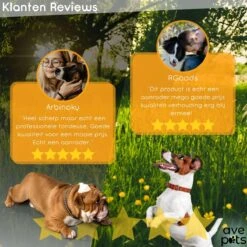 AVE Pets® Complete Hondentondeuse Set - Draadloos Tondeuse - Scheerapparaat Voor Je Hond Of Kat - Huisdier Trimmer - Professionele Dierentondeuse - Dieren Verzorging -Hondenproducten 1200x1200 424