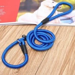 LOUZIR Cesar Millan Sliplijn -Nylon - Hondenriem -verstelbaar- Blauw - 130 Cm 7 LOUZIR Cesar Millan Sliplijn -Nylon - Hondenriem -verstelbaar- Blauw - 130 Cm -Hondenproducten 1200x1200 43