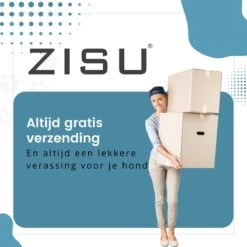 Hondentondeuse - Hondentrimmer - Dieren Tondeuse - Draadloos - 4 Opzetkammen - INCLUSIEF SNACKJE - Zwart -Hondenproducten 1200x1200 433