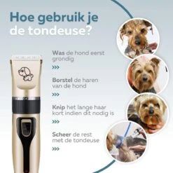 BYER Professionele Dieren Tondeuse Set - Voor Huisdieren Katten & Honden - Draadloos - Oplaadbare Pet Trimmer - Dog Tondeuze Clipper - 5 Standen & Vier Opzetkammen - Low Noise -Hondenproducten 1200x1200 442