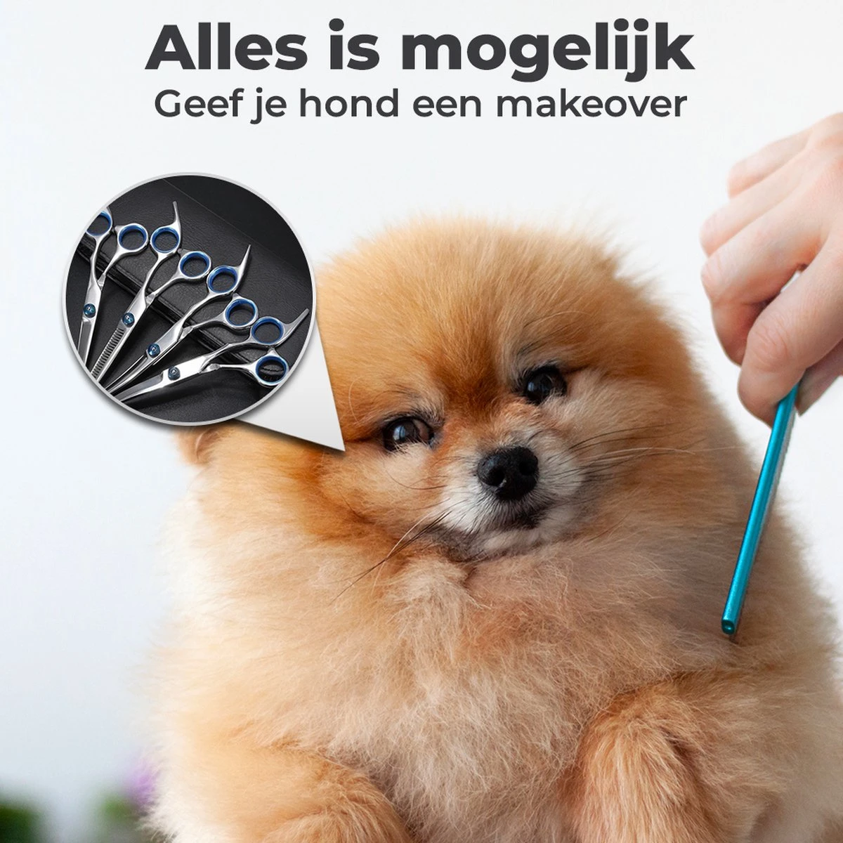VoordeelShop 7-Delige Huisdier Knipset Met Etui - Trimmen Hond - Honden Schaar - Effileerschaar Hond - Huisdier Trimmer - Huisdier Knippen - Knipschaar Haar - Haar Schaar - Kapper - Kapperset - Scharenset 7 VoordeelShop 7-Delige Huisdier Knipset Met Etui - Trimmen Hond - Honden Schaar - Effileerschaar Hond - Huisdier Trimmer - Huisdier Knippen - Knipschaar Haar - Haar Schaar - Kapper - Kapperset - Scharenset - Afbeelding 5