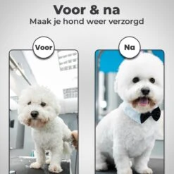 VoordeelShop 7-Delige Huisdier Knipset Met Etui - Trimmen Hond - Honden Schaar - Effileerschaar Hond - Huisdier Trimmer - Huisdier Knippen - Knipschaar Haar - Haar Schaar - Kapper - Kapperset - Scharenset 23 VoordeelShop 7-Delige Huisdier Knipset Met Etui - Trimmen Hond - Honden Schaar - Effileerschaar Hond - Huisdier Trimmer - Huisdier Knippen - Knipschaar Haar - Haar Schaar - Kapper - Kapperset - Scharenset -Hondenproducten 1200x1200 450