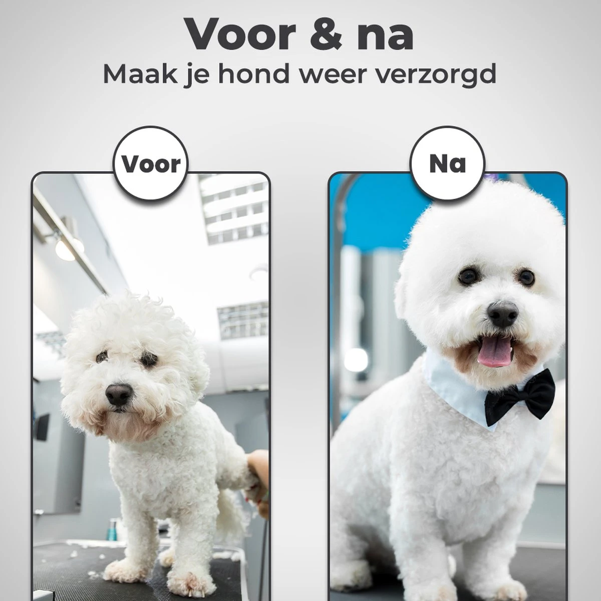 VoordeelShop 7-Delige Huisdier Knipset Met Etui - Trimmen Hond - Honden Schaar - Effileerschaar Hond - Huisdier Trimmer - Huisdier Knippen - Knipschaar Haar - Haar Schaar - Kapper - Kapperset - Scharenset 8 VoordeelShop 7-Delige Huisdier Knipset Met Etui - Trimmen Hond - Honden Schaar - Effileerschaar Hond - Huisdier Trimmer - Huisdier Knippen - Knipschaar Haar - Haar Schaar - Kapper - Kapperset - Scharenset - Afbeelding 6