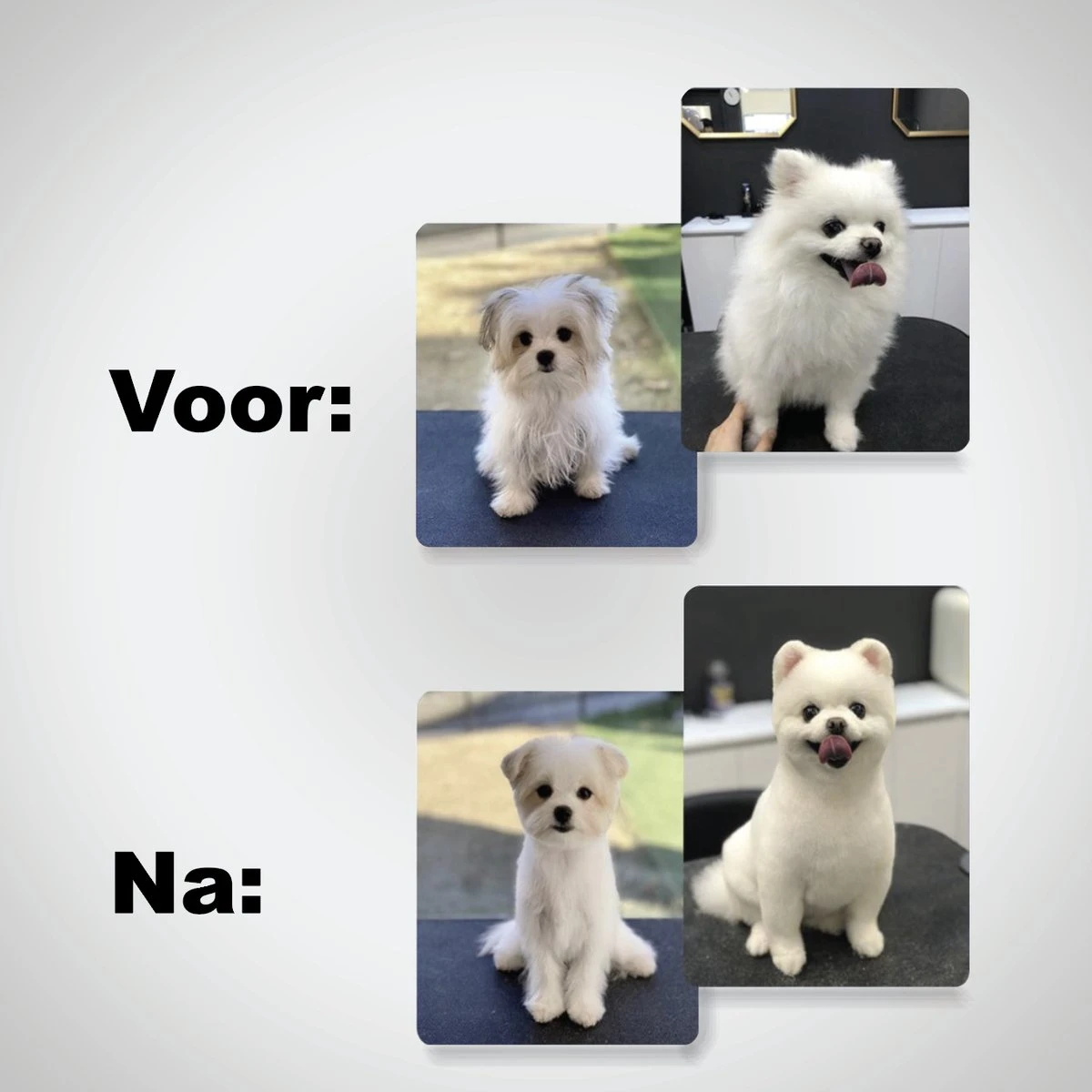 VoordeelShop 7-Delige Huisdier Knipset Met Etui - Trimmen Hond - Honden Schaar - Effileerschaar Hond - Huisdier Trimmer - Huisdier Knippen - Knipschaar Haar - Haar Schaar - Kapper - Kapperset - Scharenset 14 VoordeelShop 7-Delige Huisdier Knipset Met Etui - Trimmen Hond - Honden Schaar - Effileerschaar Hond - Huisdier Trimmer - Huisdier Knippen - Knipschaar Haar - Haar Schaar - Kapper - Kapperset - Scharenset - Afbeelding 12