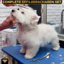 Toivo Schaar Voor Dieren - Zilver - Effileerscharen - Honden Scharenset - Dierenschaar - Set 5 Stuks - Trimscharen - Trimset - Uitdunschaar Hond - Schaar Honden -Hondenproducten 1200x1200 457