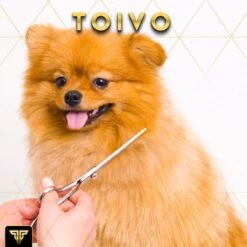 Toivo Schaar Voor Dieren - Zilver - Effileerscharen - Honden Scharenset - Dierenschaar - Set 5 Stuks - Trimscharen - Trimset - Uitdunschaar Hond - Schaar Honden -Hondenproducten 1200x1200 461