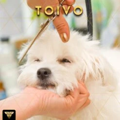 Toivo Schaar Voor Dieren - Zilver - Effileerscharen - Honden Scharenset - Dierenschaar - Set 5 Stuks - Trimscharen - Trimset - Uitdunschaar Hond - Schaar Honden -Hondenproducten 1200x1200 462