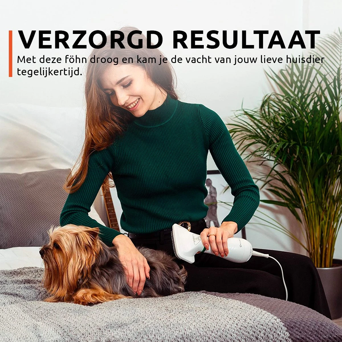 PetGoods 2-in-1 Hondenföhn – Föhn & Borstel - Honden & Katten - Low Noise 6 PetGoods 2-in-1 Hondenföhn – Föhn & Borstel - Honden & Katten - Low Noise - Afbeelding 4