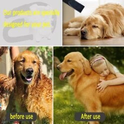 Hondenfohn - Waterblazer Met Draaiknop - 2400W Vermogen Met Warme En Koude Stand - Wit -Hondenproducten 1200x1200 479