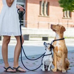 Rebel Petz - Dubbele Verstelbare Hondenriem Voor Twee Honden - Met Draaibare Sluiting En Zacht Handvat - Small En Large - Large (140 Cm Lang, Ø 12 Mm) -Hondenproducten 1200x1200 48