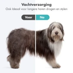 BURCH PetCare Ace - Waterblazer Voor Honden - Handzame Hondenföhn - RVS Borstel - 500W -Hondenproducten 1200x1200 492