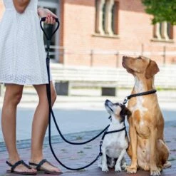 Rebel Petz - Dubbele Verstelbare Hondenriem Voor Twee Honden - Met Draaibare Sluiting En Zacht Handvat - Small En Large - Large (140 Cm Lang, Ø 12 Mm) -Hondenproducten 1200x1200 50