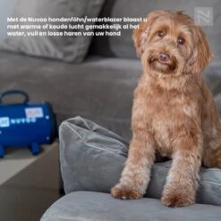 Nuvoo Professionele Hondenföhn / Waterblazer / Hondenborstel Met 3 Opzetstukken - Verstelbare Vermogen Tot 2200W - Warme / Koude Stand - Blauw -Hondenproducten 1200x1200 502