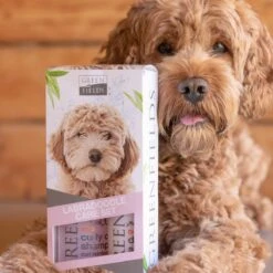 Greenfields Labradoodle Vacht Verzorgingsset - Shampoo En Anti-Klit Spray Voor Langharige Of Krullende Vacht -Hondenproducten 1200x1200 525
