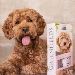 Greenfields Labradoodle Vacht Verzorgingsset - Shampoo En Anti-Klit Spray Voor Langharige Of Krullende Vacht -Hondenproducten 1200x1200 526