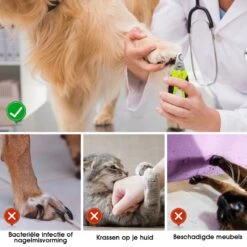 Mister Mill Professionele Nagelknipper Hond En Kat - Nageltang - Nagelschaar Konijn, Cavia En Andere Dieren 19 Mister Mill Professionele Nagelknipper Hond En Kat - Nageltang - Nagelschaar Konijn, Cavia En Andere Dieren -Hondenproducten 1200x1200 590