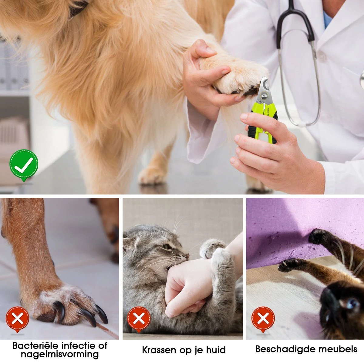 Mister Mill Professionele Nagelknipper Hond En Kat - Nageltang - Nagelschaar Konijn, Cavia En Andere Dieren 7 Mister Mill Professionele Nagelknipper Hond En Kat - Nageltang - Nagelschaar Konijn, Cavia En Andere Dieren - Afbeelding 5
