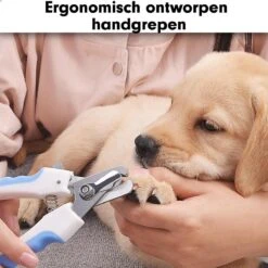 Professionele Nagelschaar|Nagelschaar Hond | Nagelschaar Kat| Nagelknipper Hond En Kat| Nagelknipper Kat| Nagelknipper Hond|NagelTang Dieren|Poot Verzorging -Hondenproducten 1200x1200 630