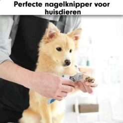 Professionele Nagelschaar|Nagelschaar Hond | Nagelschaar Kat| Nagelknipper Hond En Kat| Nagelknipper Kat| Nagelknipper Hond|NagelTang Dieren|Poot Verzorging -Hondenproducten 1200x1200 632