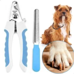 Professionele Nagelschaar|Nagelschaar Hond | Nagelschaar Kat| Nagelknipper Hond En Kat| Nagelknipper Kat| Nagelknipper Hond|NagelTang Dieren|Poot Verzorging -Hondenproducten 1200x1200 635
