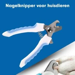 Professionele Nagelschaar|Nagelschaar Hond | Nagelschaar Kat| Nagelknipper Hond En Kat| Nagelknipper Kat| Nagelknipper Hond|NagelTang Dieren|Poot Verzorging -Hondenproducten 1200x1200 637