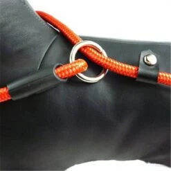 LOUZIR Cesar Millan Sliplijn Met Stop - Hondenriem - Rood - 130 Cm -Hondenproducten 1200x1200 64