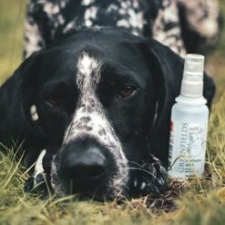 Hondenparfum Spray In 4 Geuren - Greenfields - Alchoholvrije En PH Neutrale Formule Tegen Onaangename Geurtjes - 50ml - Exotic 23 Hondenparfum Spray In 4 Geuren - Greenfields - Alchoholvrije En PH Neutrale Formule Tegen Onaangename Geurtjes - 50ml - Exotic -Hondenproducten 1200x1200 644