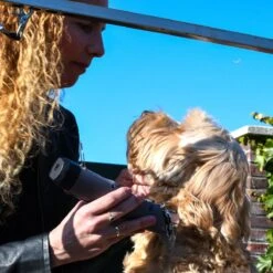 Clipr Ultimate 2-speed Hondentondeuse Op Accu 13 Clipr Ultimate 2-speed Hondentondeuse Op Accu -Hondenproducten 1200x1200 666