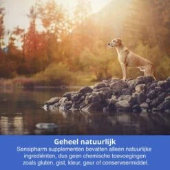 Sensipharm Bitterspray Anti Bijt Spray - Hond, Kat, Konijn & Vogel - Bitter Anti Kauw Knabbel Knaag - 100 Ml -Hondenproducten 1200x1200 681