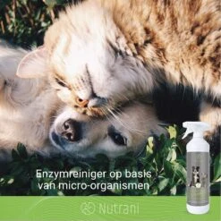 Nutrani Geurverwijderaar, 750 Ml, Natuurlijke Enzymreiniger Als Gebruiksklare Spray Met Biologische Werking, Verwijdert Geurtjes, Urine, Poep En Vlekken Van Honden En Katten -Hondenproducten 1200x1200 691