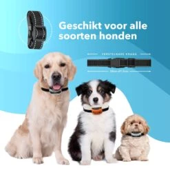 PET DOG® | Anti Blafband Voor Honden | 3 T/m 60 Kg | Oplaadbaar | Anti Blaf Band | Trainingsband | Vibratie En Geluid | Diervriendelijk | Shock Aan/uit Instelbaar -Hondenproducten 1200x1200 697