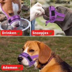 Sharon B Muilkorf Paars Maat M - Fleece - Wasbaar - Reflecterend -Hondenproducten 1200x1200 703