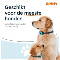 Simmy Anti Blafband - Diervriendelijke Opvoedingshalsband - Zwart En Blauw - Diervriendelijk - Zonder Schok - Anti Blaf Band Voor Grote En Kleine Honden -Hondenproducten 1200x1200 711