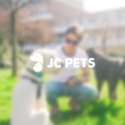 Anti Blafband - Blafband Voor Honden - Oplaadbaar - Anti Blaf Apparaat - Blafband - Diervriendelijk 17 Anti Blafband - Blafband Voor Honden - Oplaadbaar - Anti Blaf Apparaat - Blafband - Diervriendelijk -Hondenproducten 1200x1200 719