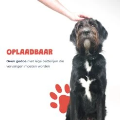 Anti Blafband - Blafband Voor Honden - Oplaadbaar - Anti Blaf Apparaat - Blafband - Diervriendelijk 18 Anti Blafband - Blafband Voor Honden - Oplaadbaar - Anti Blaf Apparaat - Blafband - Diervriendelijk -Hondenproducten 1200x1200 720