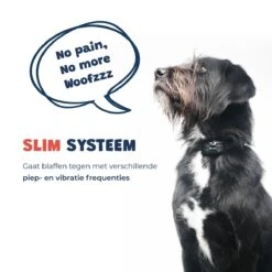 Anti Blafband - Blafband Voor Honden - Oplaadbaar - Anti Blaf Apparaat - Blafband - Diervriendelijk 21 Anti Blafband - Blafband Voor Honden - Oplaadbaar - Anti Blaf Apparaat - Blafband - Diervriendelijk -Hondenproducten 1200x1200 723