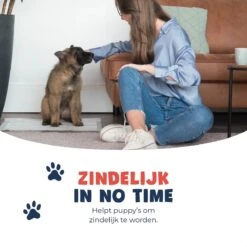 JC Pets Premium Puppy Training Pads - Hondentoilet - Zindelijkheidstraining Hond - 50 Stuks - 60 X 45 Cm -Hondenproducten 1200x1200 747