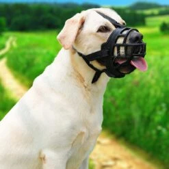 Sharon B Muilkorf Hond - Zwart - XXL - Voor Zeer Grote Honden - Snuitomtrek 38-43 Cm -Hondenproducten 1200x1200 754