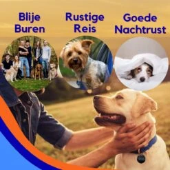 MyPets™ Anti-blafband - Anti Blaf Apparaat - Voor Kleine Honden En Grote Honden - Diervriendelijk - Opvoedingshalsband - Trainingshalsband - 2022/2023 Versie - Inclusief Batterijen -Hondenproducten 1200x1200 760