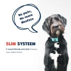 Anti Blafband - Blafband Voor Honden - Anti Blaf Apparaat - Blafband - Diervriendelijk & Zonder Schok 17 Anti Blafband - Blafband Voor Honden - Anti Blaf Apparaat - Blafband - Diervriendelijk & Zonder Schok -Hondenproducten 1200x1200 769