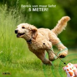 Merkloos LotaHome - Anti Blaf Apparaat - Hondentrainer Voor Binnen En Buiten - Bereik Tot 15 Meter - Diervriendelijk - Zonder Schok - Ultrasone - Voor Alle Honden - Inclusief Clicker -Hondenproducten 1200x1200 780