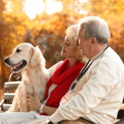Merkloos LotaHome - Anti Blaf Apparaat - Hondentrainer Voor Binnen En Buiten - Bereik Tot 15 Meter - Diervriendelijk - Zonder Schok - Ultrasone - Voor Alle Honden - Inclusief Clicker -Hondenproducten 1200x1200 782