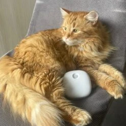 Pettadore Air Insight - Kattenbak Geurverdrijver & Teller - Actieve Zuurstof En Ionen - Oplaadbaar - Met App -Hondenproducten 1200x1200 822