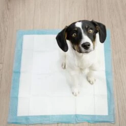 Springos Puppy Training Pads| Plasmatjes Hond | Zindelijkheidstraining | 10 Stuks | 35 X 45 Cm 19 Springos Puppy Training Pads| Plasmatjes Hond | Zindelijkheidstraining | 10 Stuks | 35 X 45 Cm -Hondenproducten 1200x1200 824