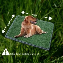 Merkloos Gtrise Hondentoilet Met 2 Matten - Out/Indoor - Zindelijkheidstraining Ebook - Dieren Wc -Hondenproducten 1200x1200 848